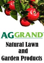 aggrand