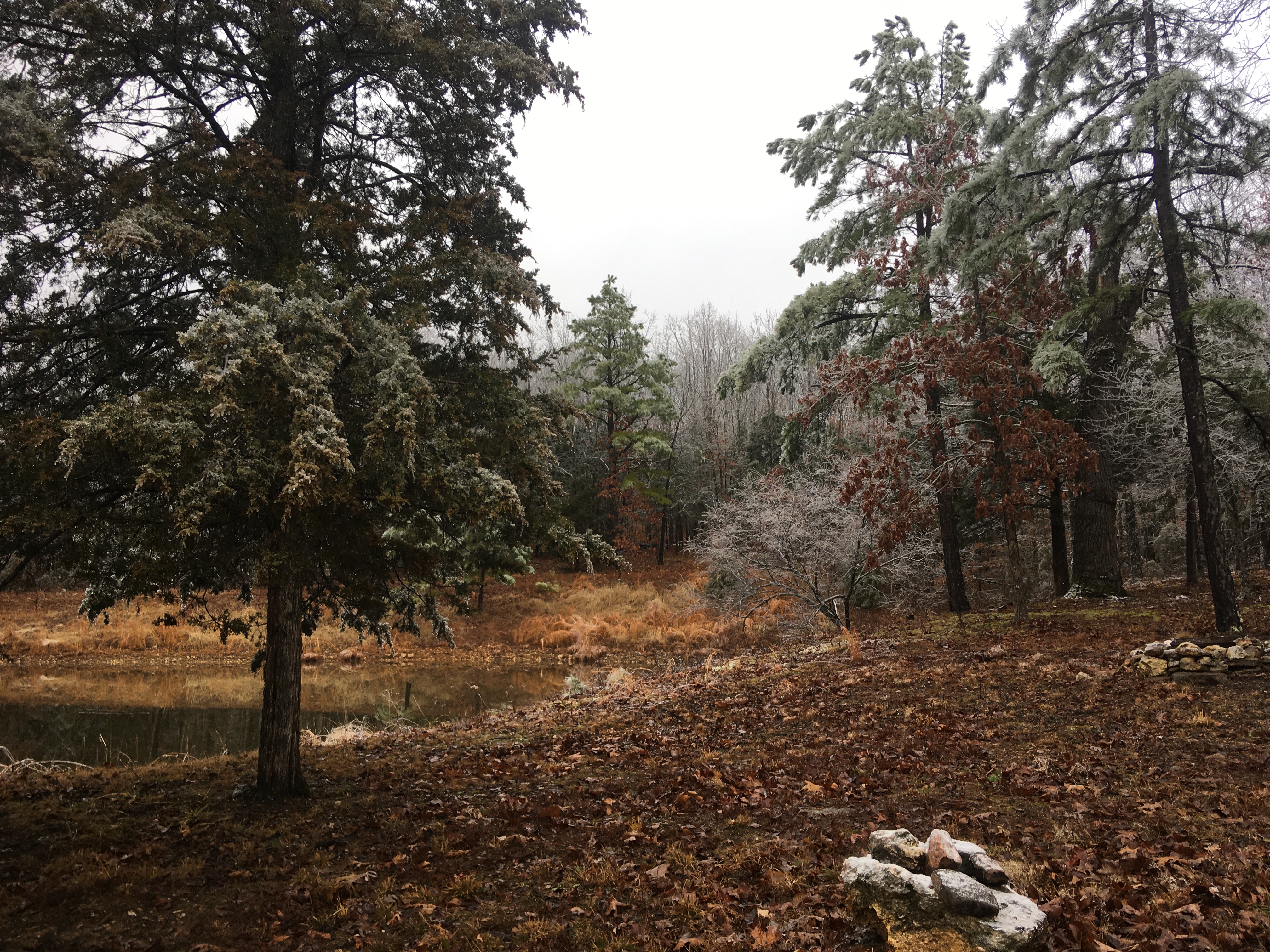 Log Lodge on Yocum Road