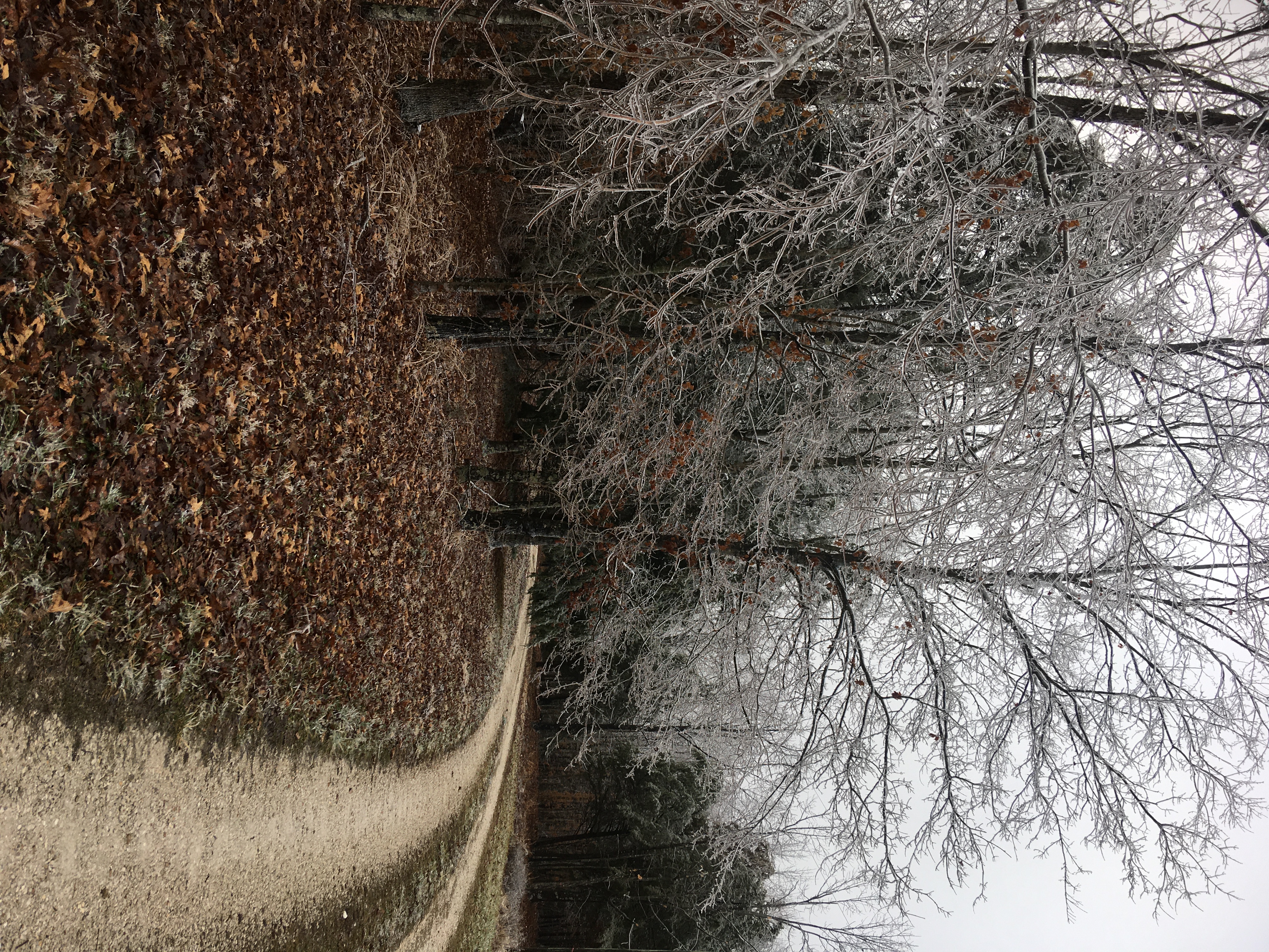 Log Lodge on Yocum Road